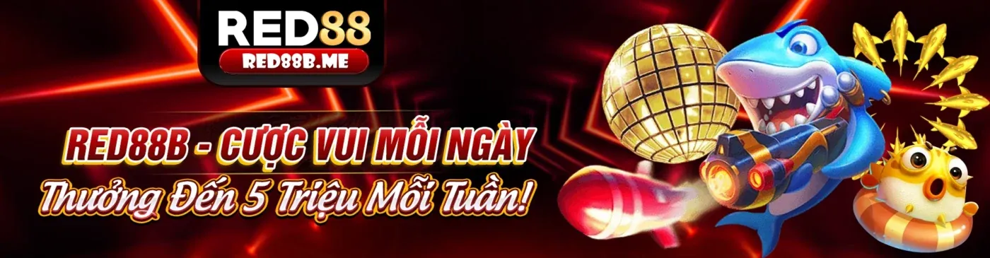 Hình ảnh giới thiệu ffok81 – nền tảng cá cược trực tuyến hàng đầu